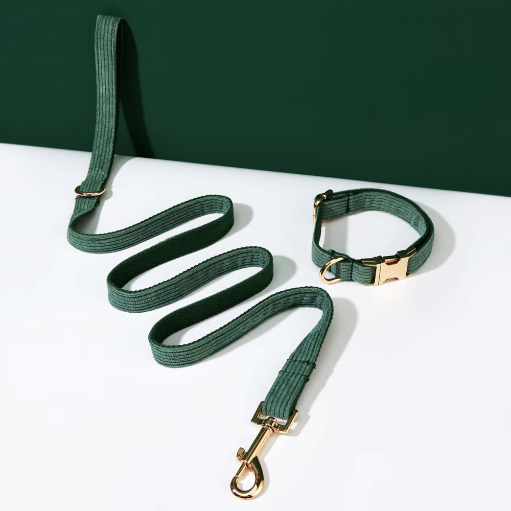 Collier chien personnalisé velours côtelé vert forêt