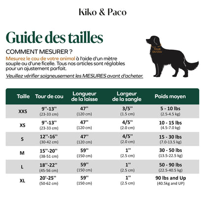 Collier chien personnalisé velours côtelé aqua