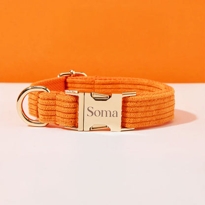 Collier chien personnalisé velours côtelé orange