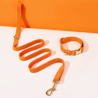 Collier chien personnalisé velours côtelé orange