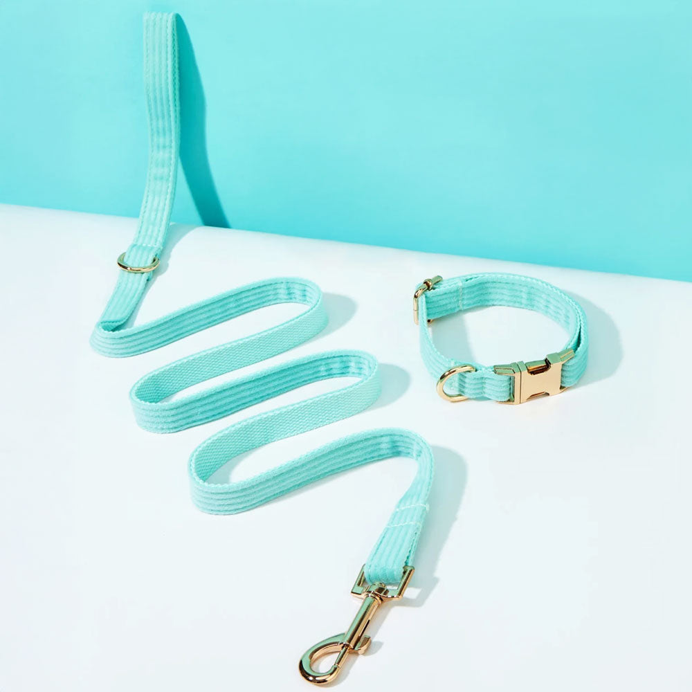 Collier chien personnalisé velours côtelé aqua