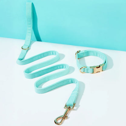Collier chien personnalisé velours côtelé aqua