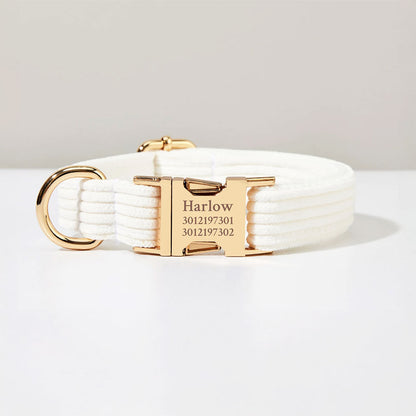Collier chien personnalisé velours côtelé ivoire