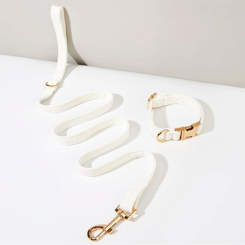 Collier chien personnalisé velours côtelé ivoire