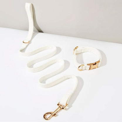 Collier chien personnalisé velours côtelé ivoire