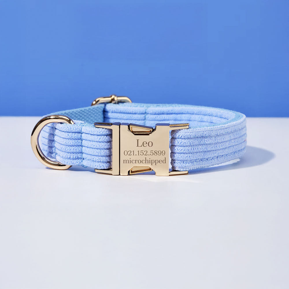 Collier chien personnalisé velours côtelé bleu ciel