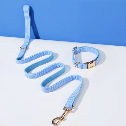 Collier chien personnalisé velours côtelé bleu ciel