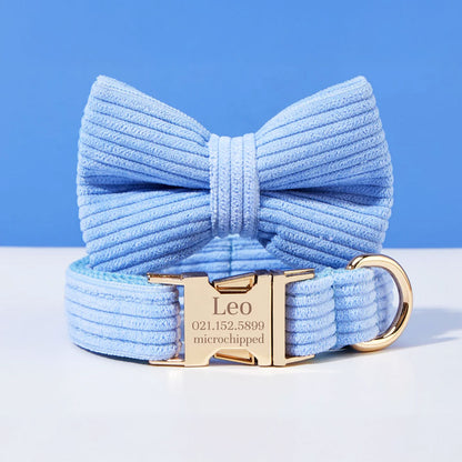 Collier chien personnalisé velours côtelé bleu ciel