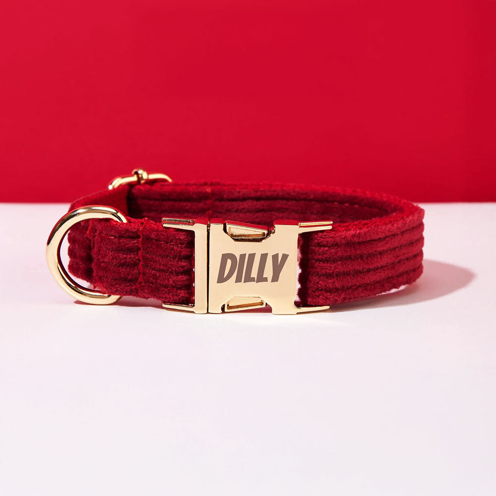 Collier chien personnalisé velours côtelé bordeaux