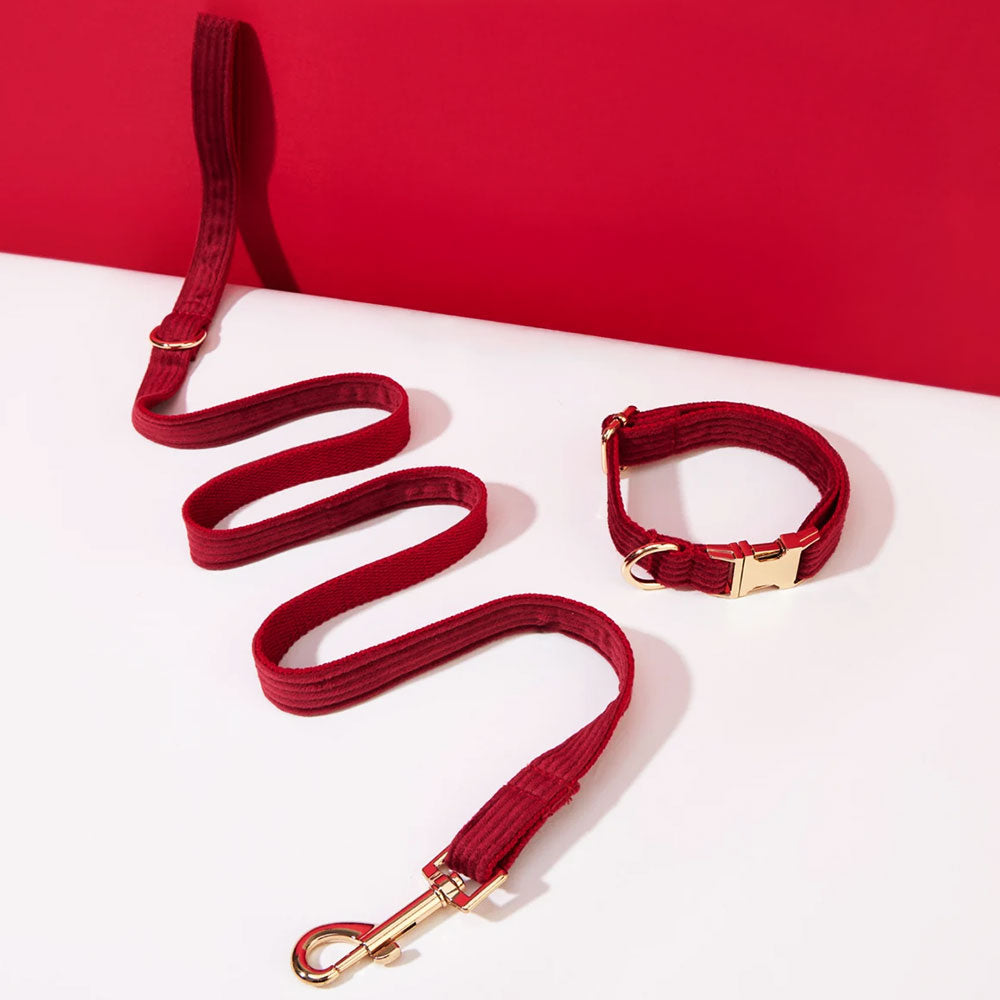 Collier chien personnalisé velours côtelé bordeaux