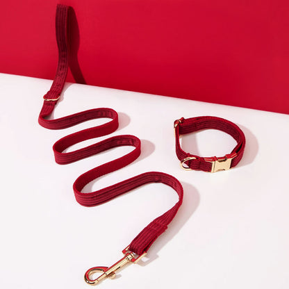 Collier chien personnalisé velours côtelé bordeaux