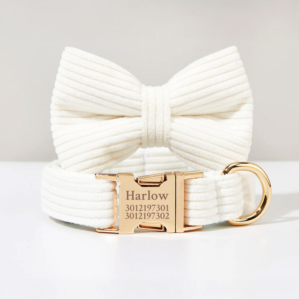 Collier chien personnalisé velours côtelé ivoire