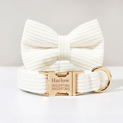 Collier chien personnalisé velours côtelé ivoire