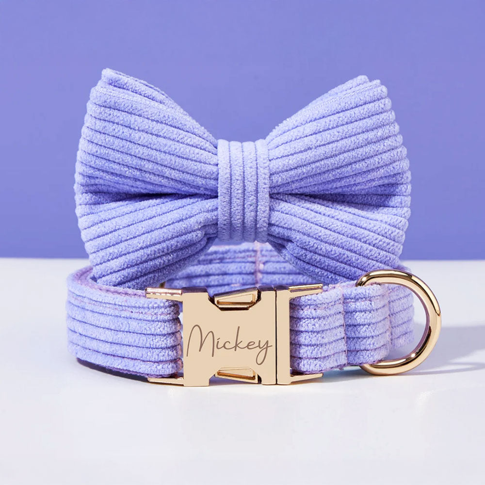 Collier chien personnalisé velours côtelé lilas