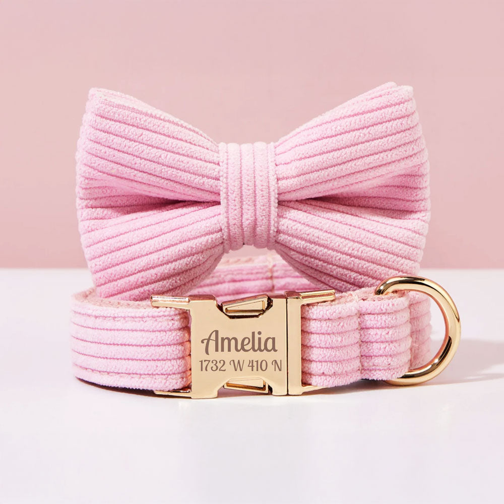 Collier chien personnalisé velours côtelé rose
