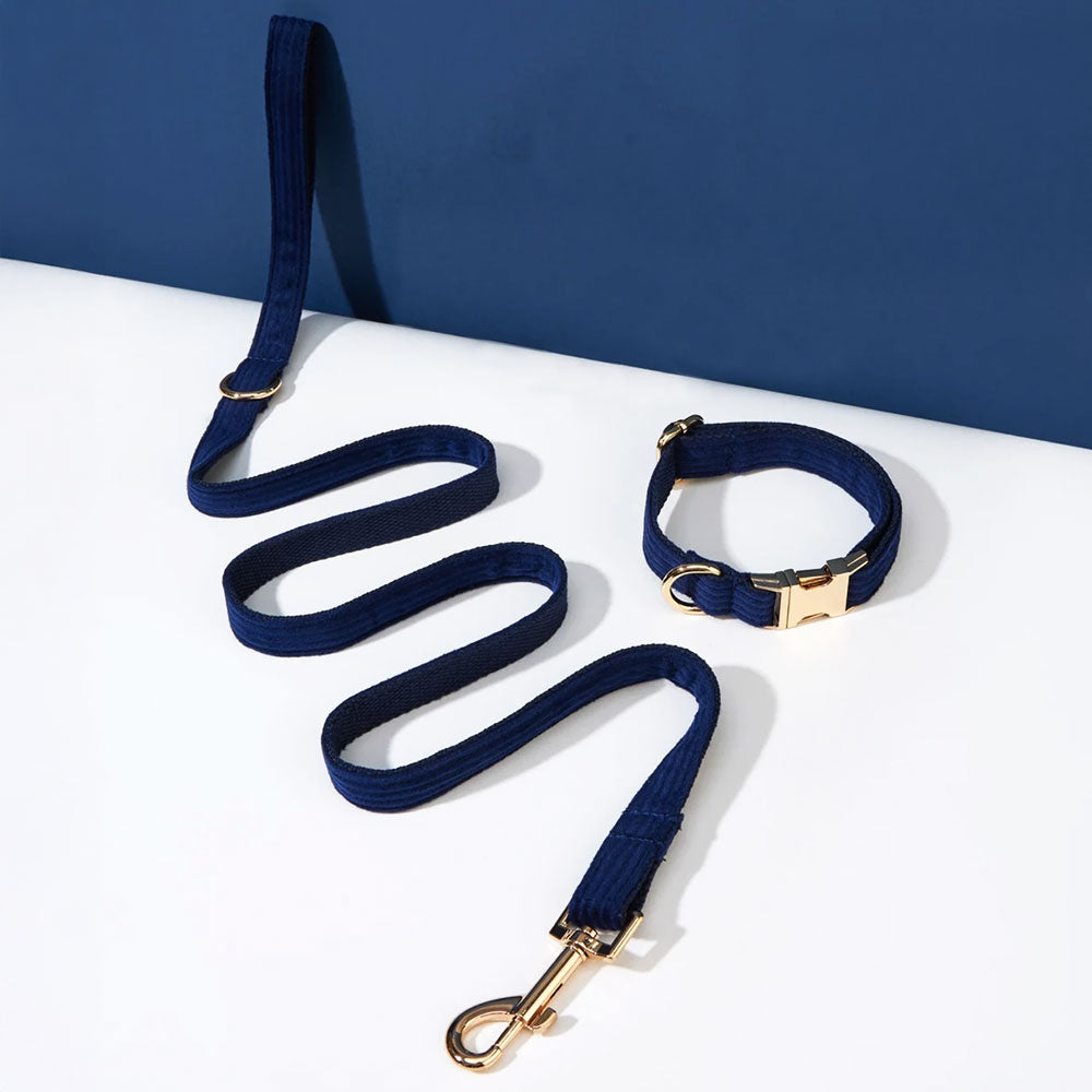 Collier chien personnalisé velours côtelé bleu marine