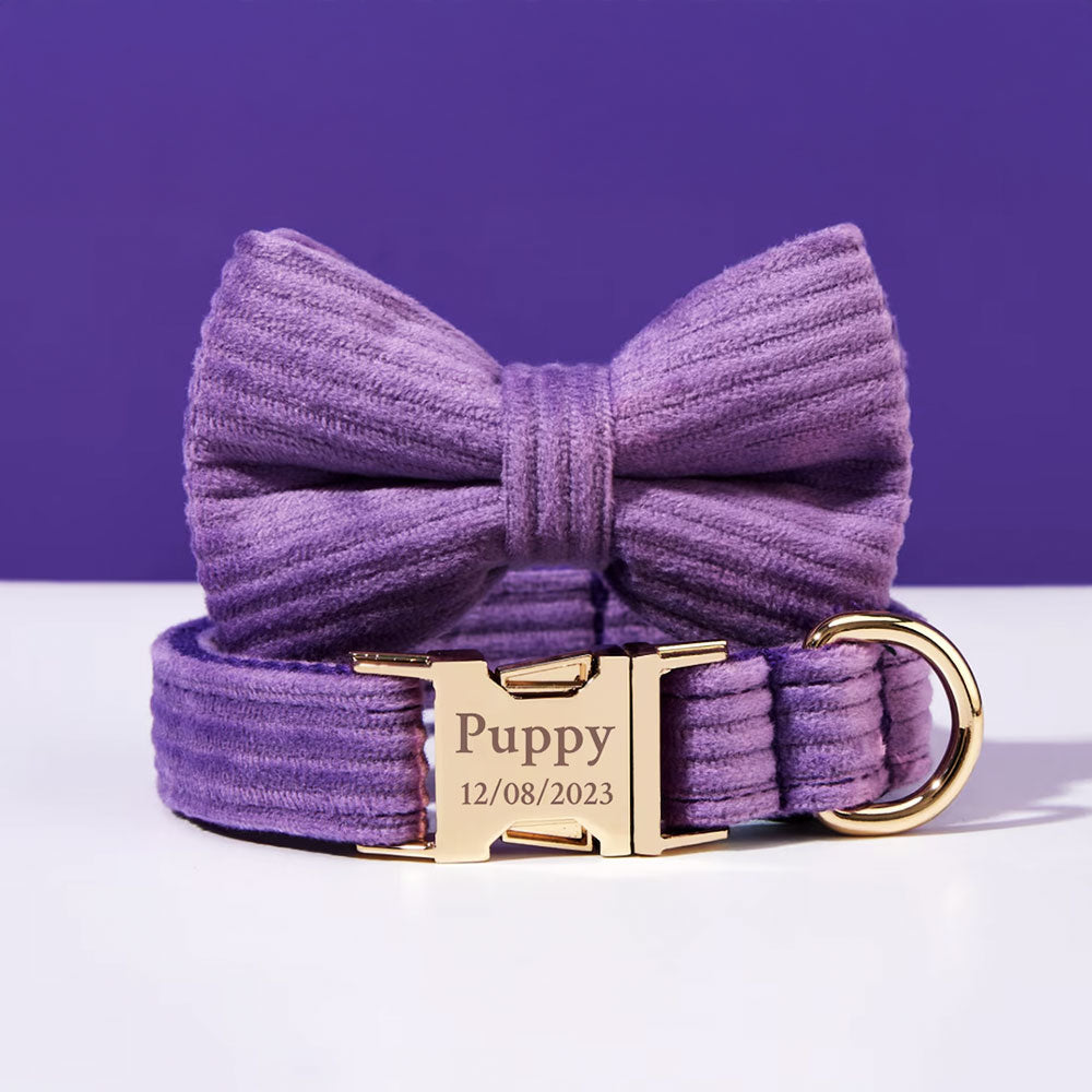 Collier chien personnalisé velours côtelé violet