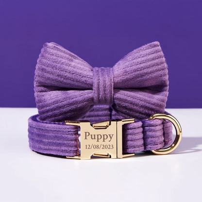 Collier chien personnalisé velours côtelé violet