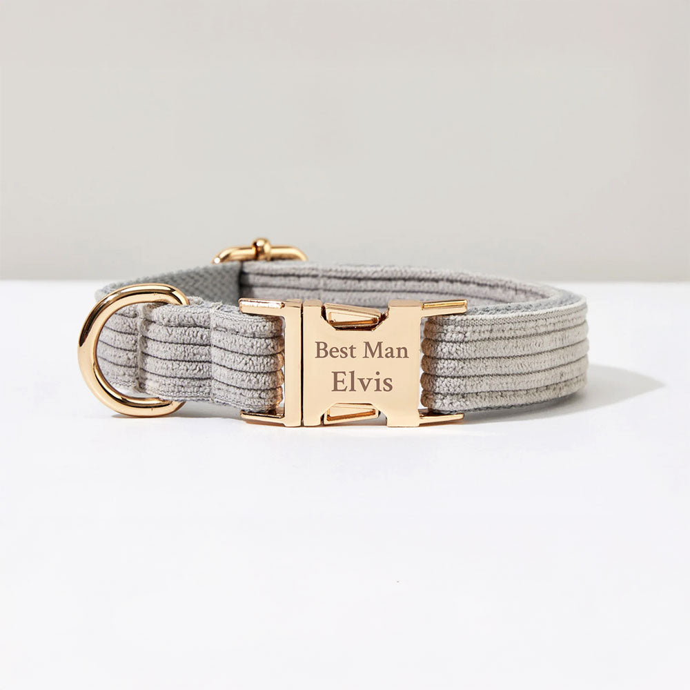 Collier chien personnalisé velours côtelé gris