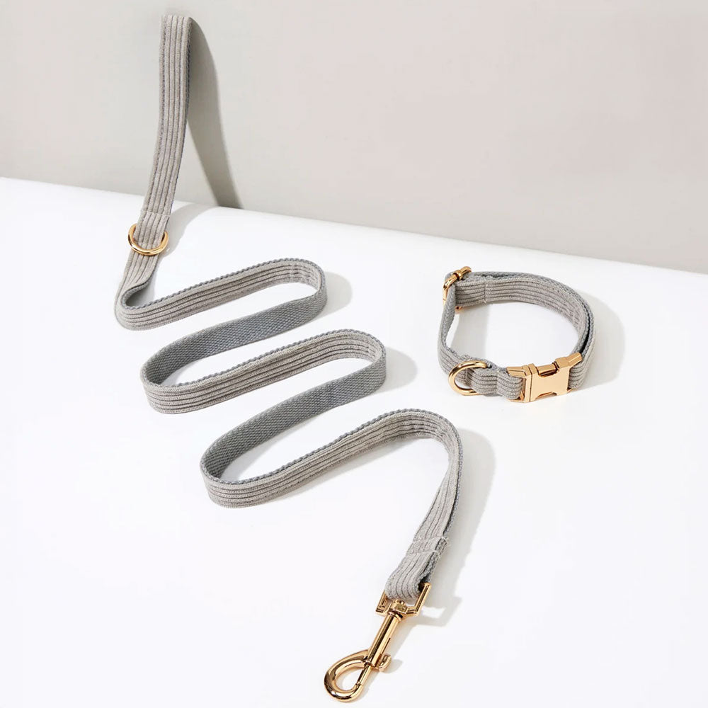 Collier chien personnalisé velours côtelé gris