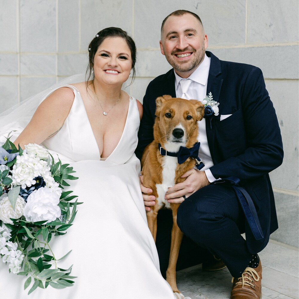 Collier personnalisé pour chien en velours – élégant et sécurisé