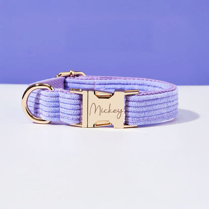 Collier chien personnalisé velours côtelé lilas