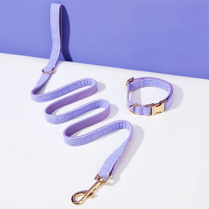 Collier chien personnalisé velours côtelé lilas