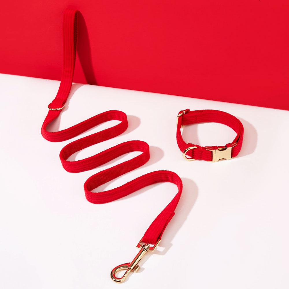 Collier chien personnalisé velours côtelé rouge