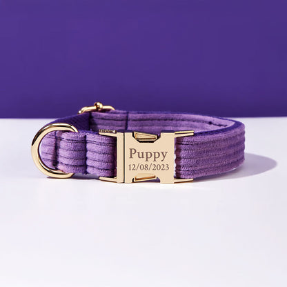 Collier chien personnalisé velours côtelé violet