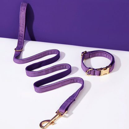 Collier chien personnalisé velours côtelé violet